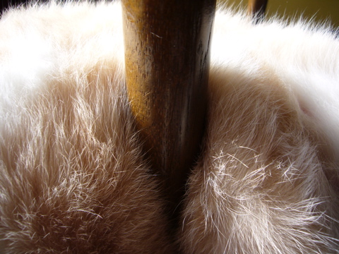 e0058443_1235488.jpg