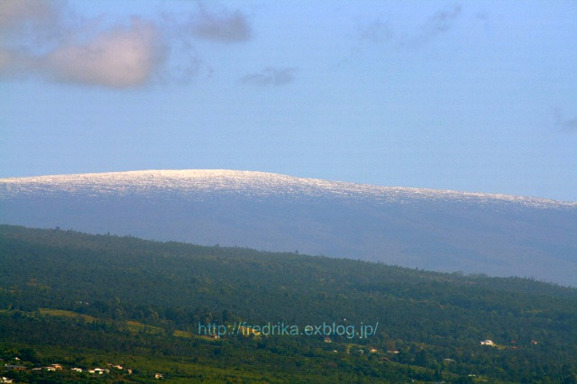 e0129046_1732592.jpg