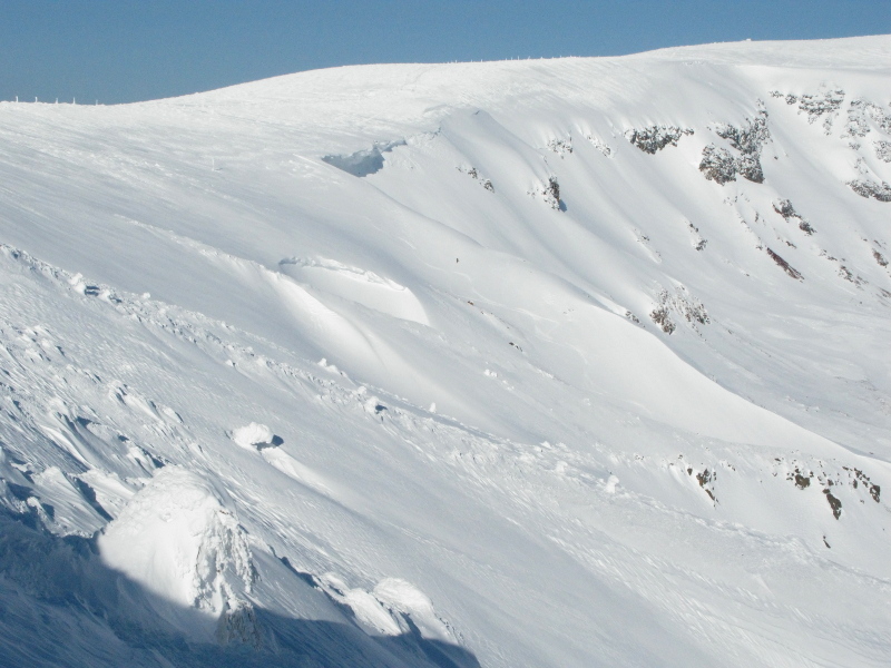 e0070552_03356.jpg
