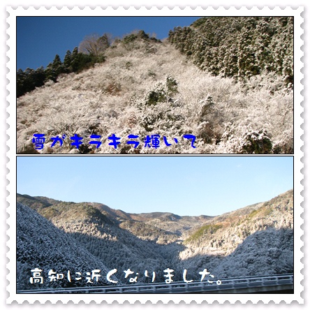 c0020653_15323350.jpg