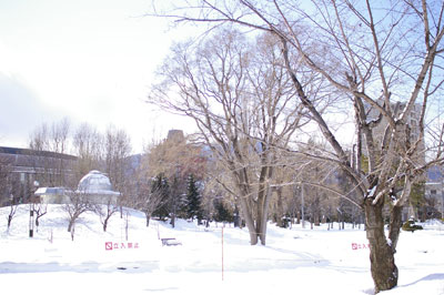 c0095858_84876.jpg
