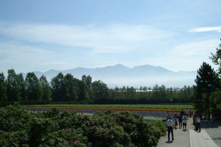 a0004359_2352739.jpg