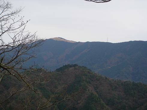 c0148762_1814528.jpg