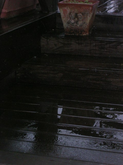 a0091666_19311375.jpg