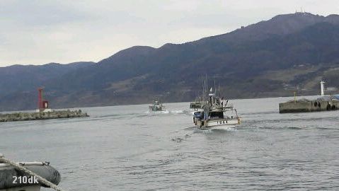 f0138073_133949.jpg