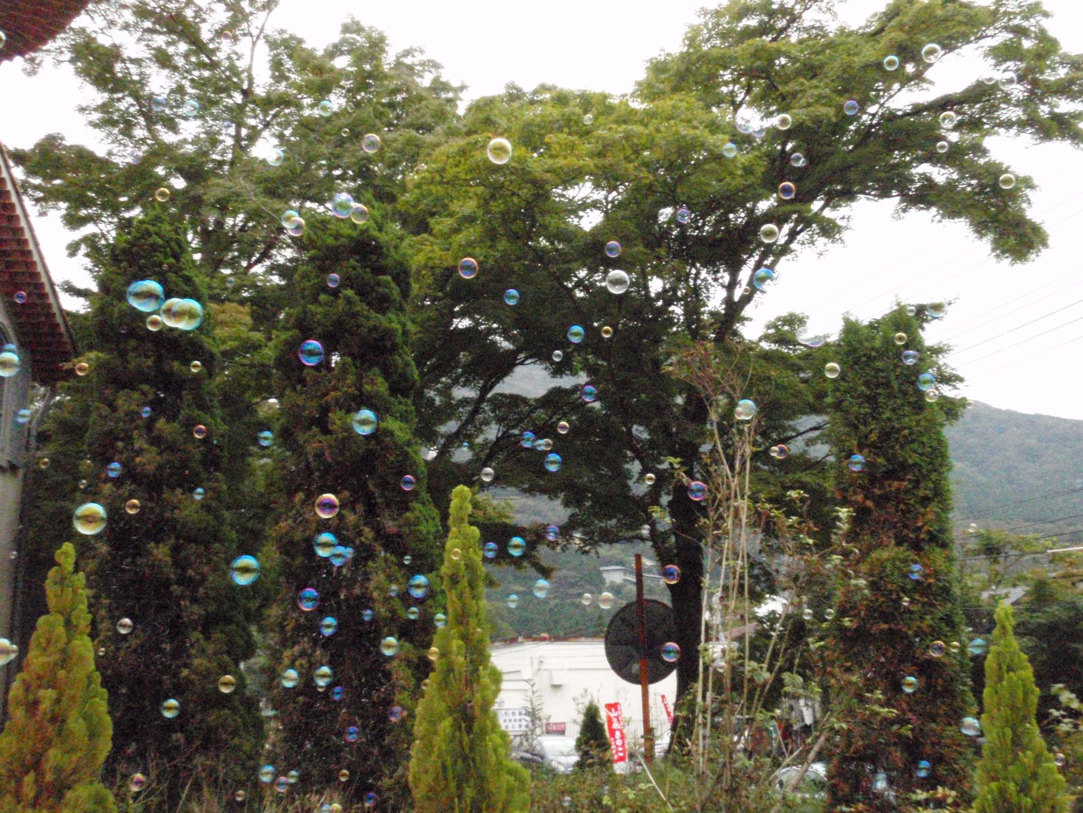 e0147575_21403521.jpg