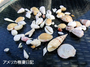 b0050879_17195588.jpg