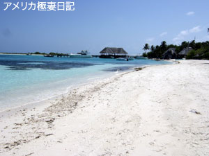 b0050879_17204613.jpg