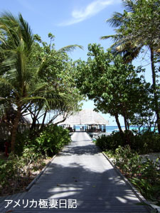 b0050879_1721952.jpg