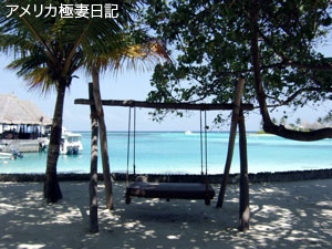 b0050879_17221610.jpg