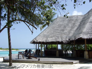 b0050879_17222856.jpg