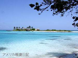 b0050879_172239100.jpg