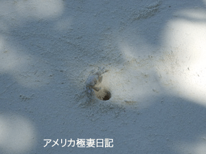 b0050879_17235471.gif