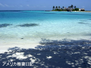 b0050879_1724646.jpg