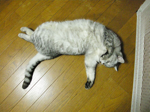 c0195281_17181029.jpg