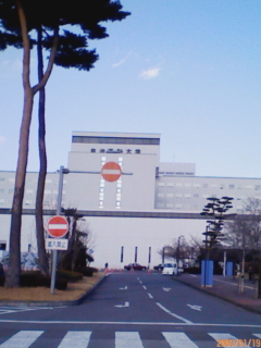 c0096582_11383894.jpg