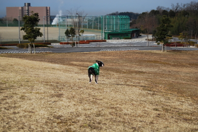 c0092787_1121946.jpg