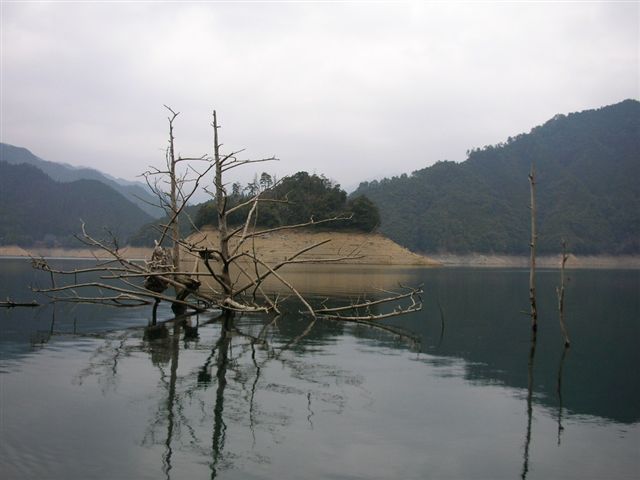 e0052088_14575267.jpg