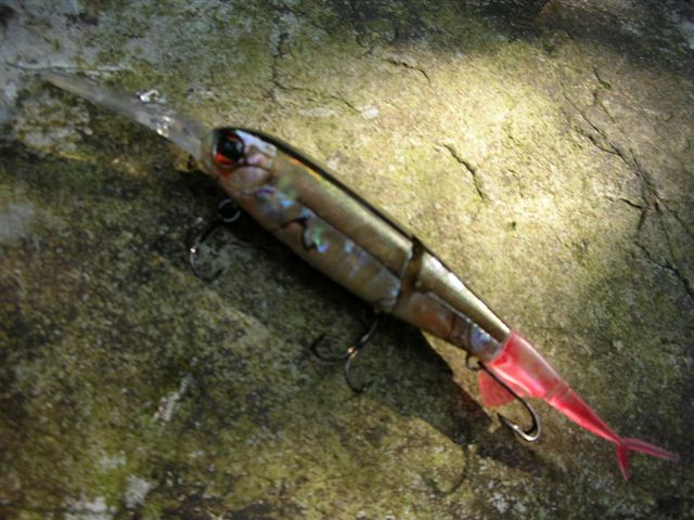 e0052088_1503350.jpg