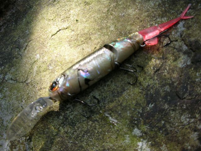 e0052088_151079.jpg