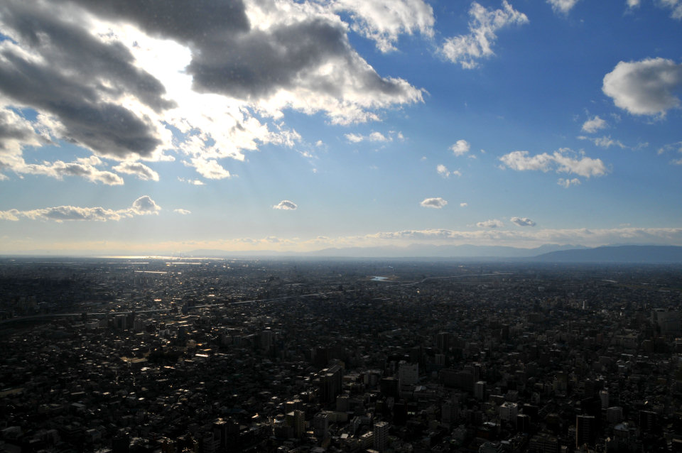 e0019200_68696.jpg