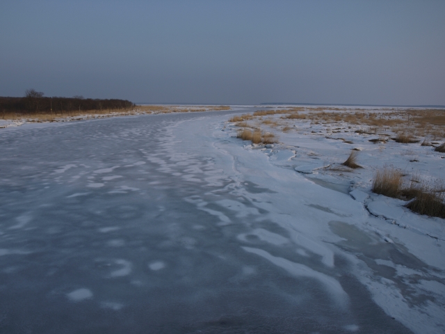 f0020302_22544111.jpg