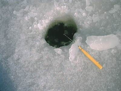 f0147602_12305265.jpg