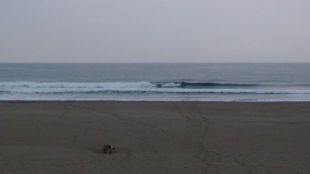 f0116314_19223362.jpg