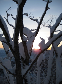 e0060517_20193736.jpg