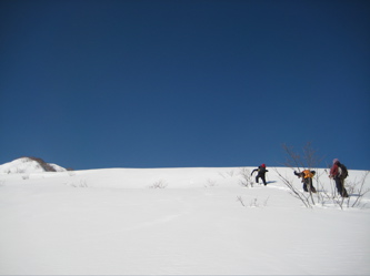 e0060517_20371233.jpg