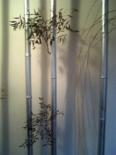 f0031420_19535779.jpg
