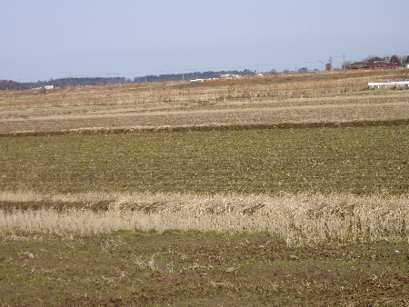 f0040734_23252176.jpg