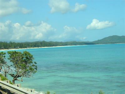f0152934_21121484.jpg