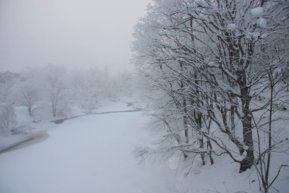 d0069235_2333379.gif
