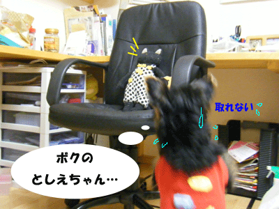 f0008935_1051777.gif