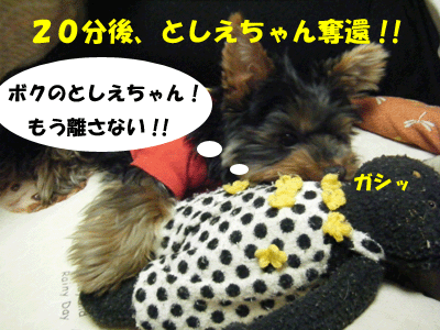 f0008935_1054440.gif