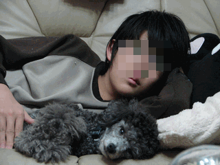 c0136736_11413765.gif