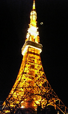 d0078456_849228.jpg