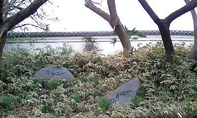 e0143671_1095014.jpg