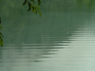 c0112172_1844173.jpg