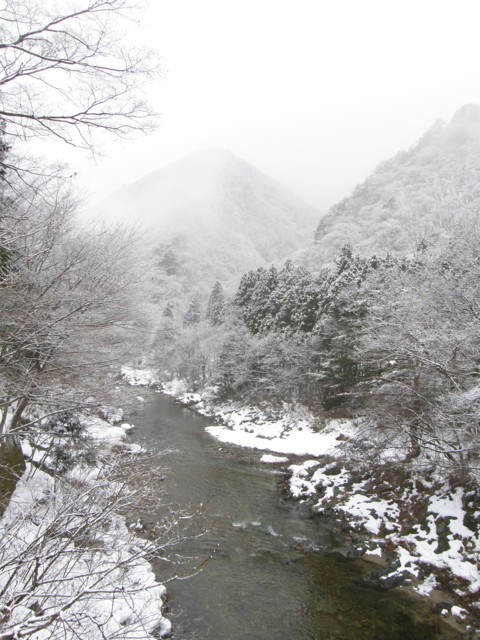 d0134473_14155776.jpg