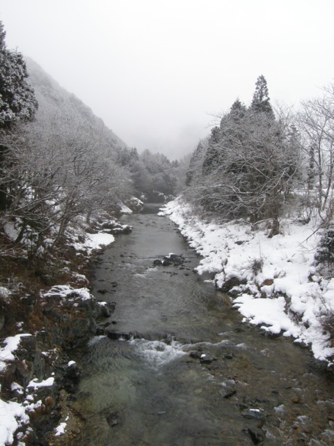 d0134473_14171542.jpg