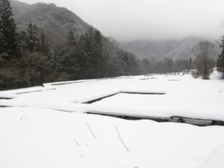 d0134473_14191893.jpg