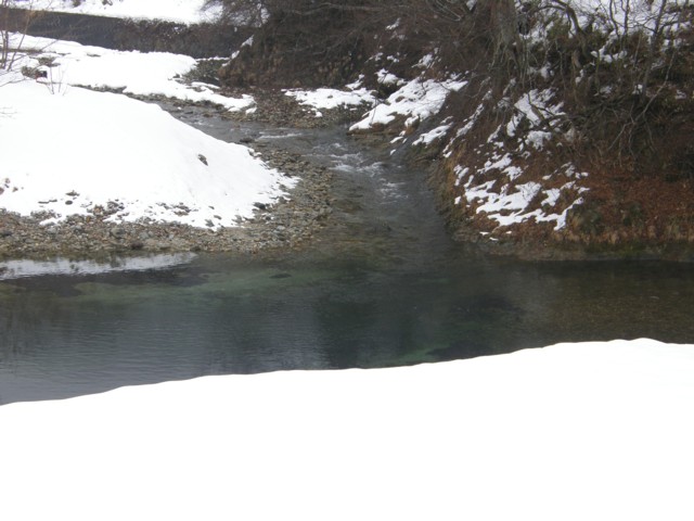 d0134473_14263673.jpg
