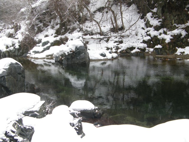 d0134473_1483792.jpg