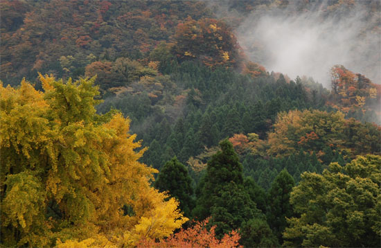 b0143480_2356462.jpg