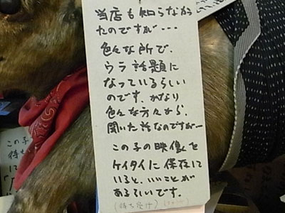 d0142082_1522424.jpg