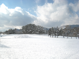 a0062983_1191799.jpg