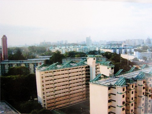 d0146888_1811674.jpg