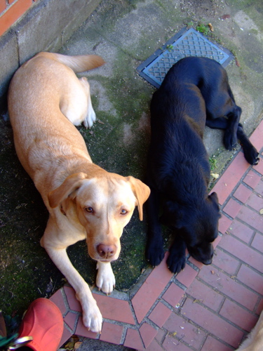 f0001698_1628323.jpg
